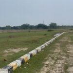 WhatsApp Image 2025-07-25 at 12.50.51 PM